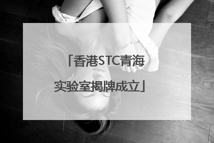 香港STC青海实验室揭牌成立
